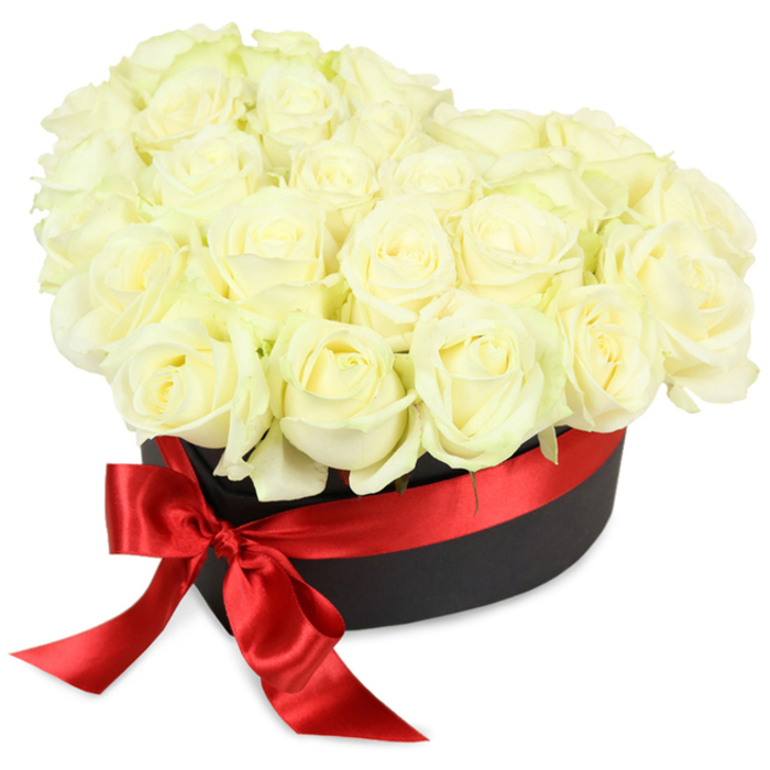 This luxurious arrangement, handcrafted by seasoned florists in South Wimbledon, showcases a lavish abundance of pristine white roses nestled within a contemporary matte black heart-shaped hatbox. The roses themselves are chosen for their exquisite form: some tightly furled with pale green hints at their base, others displaying layers of creamy petals gently curving outward. They're arranged to create a decadent, harmonious dome that fills the entire container and slightly billows over the rim, imparting an air of generous celebration. The heart box's rich, charcoal sheen offers dramatic contrast to the luminous, ivory blooms, emphasizing their freshness and natural beauty. Encircling the box, a vivid red satin ribbon is tied into an elegant bow situated on the front left, edges trailing gracefully to convey movement and a sense of occasion. The composition is meticulously illuminated against a brilliant white backdrop, drawing attention to each delicate curve, velvety texture, and subtle shift of colour. Thought was given to every detail-from the artistic domed arrangement to the careful pairing of bold red ribbon and deep black container-infusing the bouquet with symbolism of love, purity, and remembrance. Ideal for marking a milestone such as an anniversary, wedding, or day of sympathy, this floral presentation is both visually stunning and profoundly emotive. Its fragrance subtly fills the space, much like the blooms carried home from South Wimbledon's weekend markets or parks, and it is available for bespoke delivery within Wimbledon Chase, Merton Abbey, or any part of the local area.