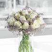 A quietly elegant bouquet of creamy white roses and soft lavender statice is displayed in a clear cylindrical glass vase, resting on a pristine white surface that evokes a peaceful South Wimbledon living room or hallway console. The bouquet forms a lush, rounded cluster, with roughly two dozen roses gathered closely together so their blooms almost touch, creating a continuous field of velvety petals. Each rose spirals inward to a perfect centre, some still tightly furled in bud, others beginning to open, revealing the layered architecture of their petals. The colour remains a gentle, warm cream, with the palest hint of green near the outermost edges, suggesting stems that were freshly cut, perhaps earlier that morning in a local workshop near Merton Park. Interwoven among the roses are sprays of tiny purple blossoms, likely statice, their papery texture and delicate clusters forming a soft, mist-like halo of lilac and lavender tones. The glass of the vase is completely clear, allowing a full view of the straight green stems, slightly fanned in the water yet kept in a disciplined bundle, a signature of a florist who understands both structure and flow. Natural daylight falls from one side, turning the white roses almost luminous and casting gentle shadows on the white surface, while the background fades into a smooth blur of pale grey and white, removing any distraction. The overall impression is one of calm dignity and tender solace-a bouquet well suited for expressing sympathy to a family near Wimbledon Chase or along Kingston Road, where its quiet beauty can offer ongoing comfort and a sense of gentle remembrance.